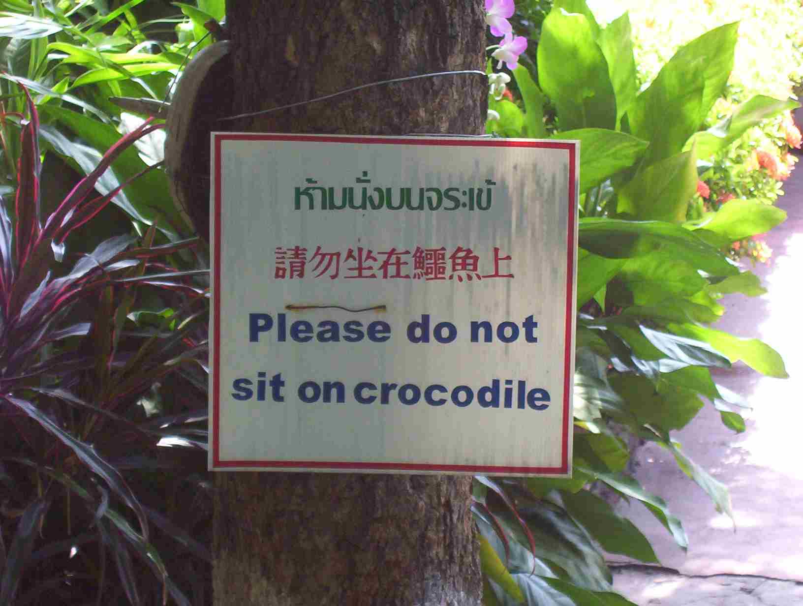 please.dont.sit.on.crocodile.jpg