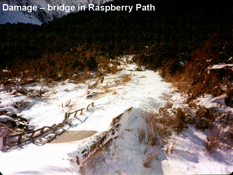 Damage ? bridge in Raspberry Path