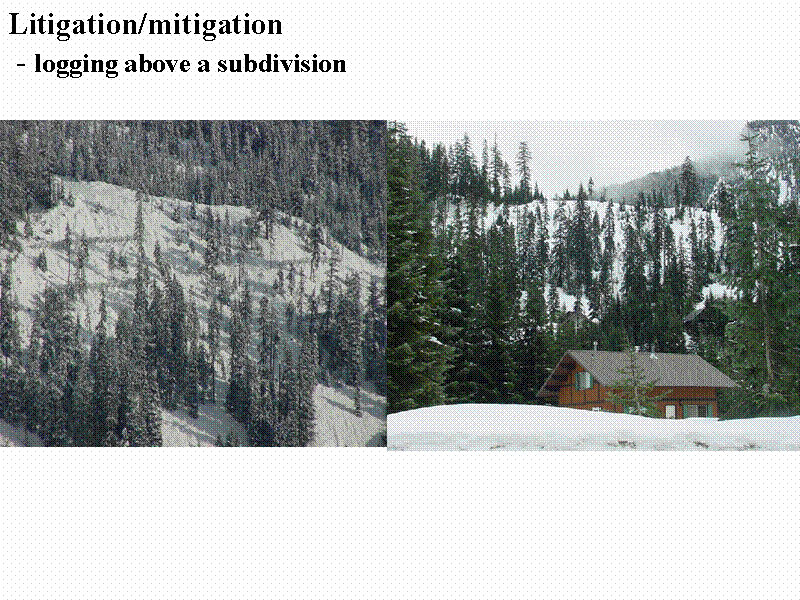Litigation/mitigation 
 - logging above...
