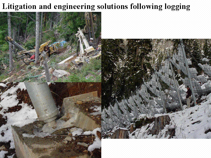 Litigation and engineering solutions fol...