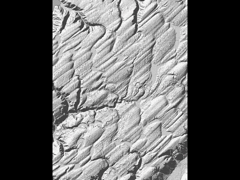 Slide 8
