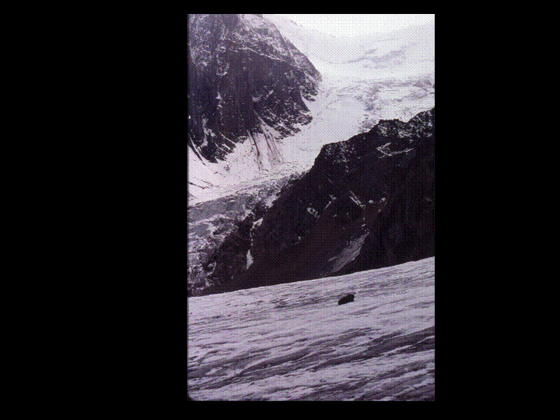 Slide 21