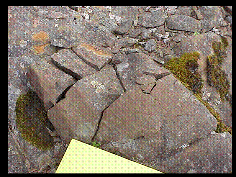 Slide 51