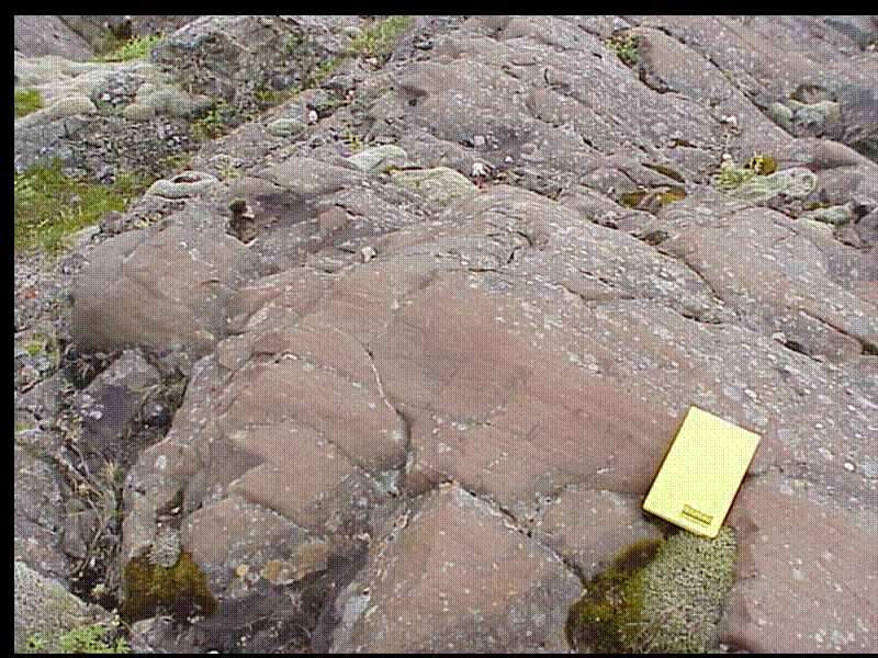 Slide 52
