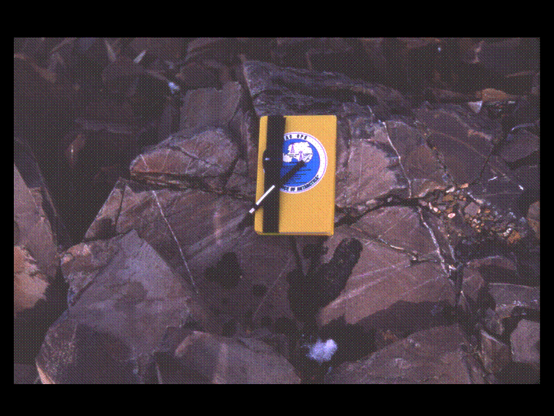 Slide 53