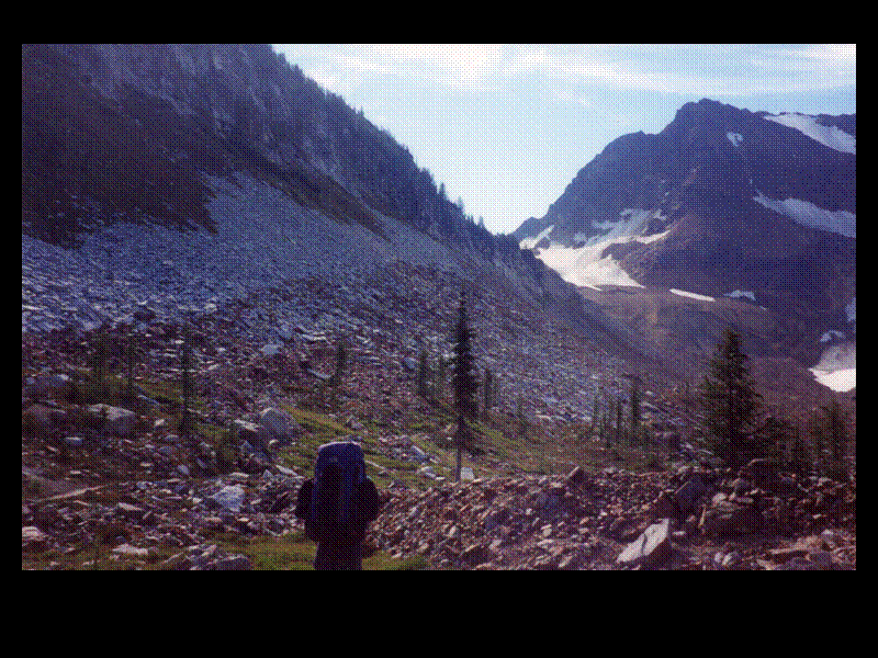 Slide 54