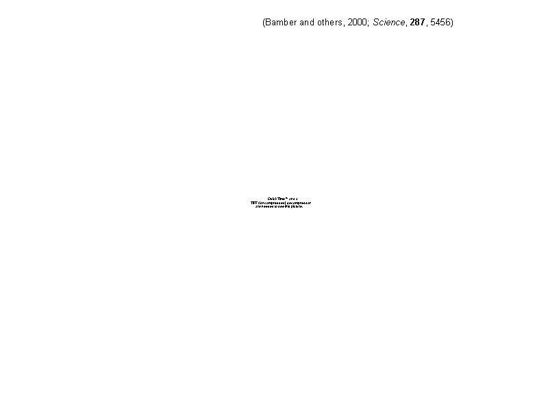 (Bamber and others, 2000; Science, 287, ...
